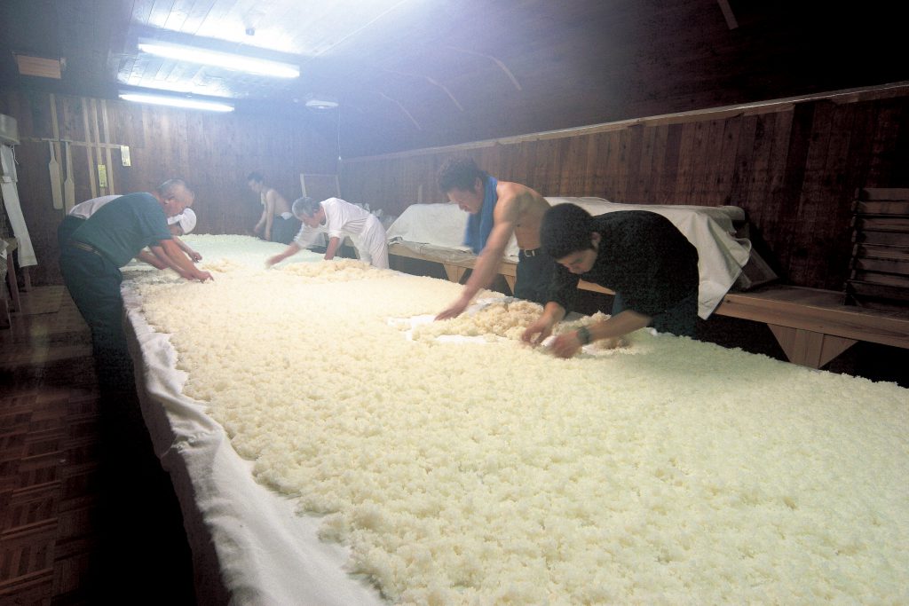 「亀齢酒造」の職人たちが蒸米をならしている、酒造りの様子
