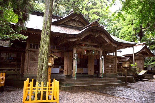 木々に囲まれている高千穂神社本殿の様子。