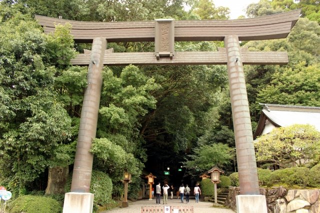 木々の前に高千穂神社の鳥居が立っている。大きくて迫力が凄い。