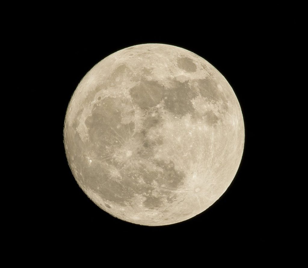 満月の月見