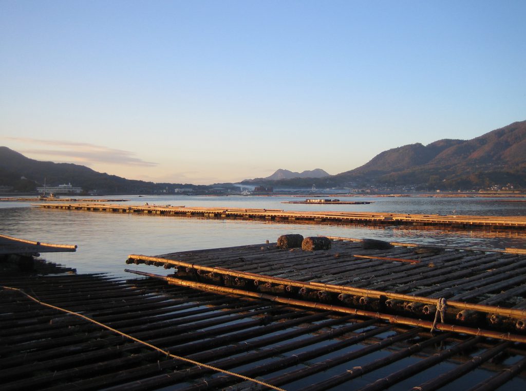 江田島に浮かぶ牡蠣筏