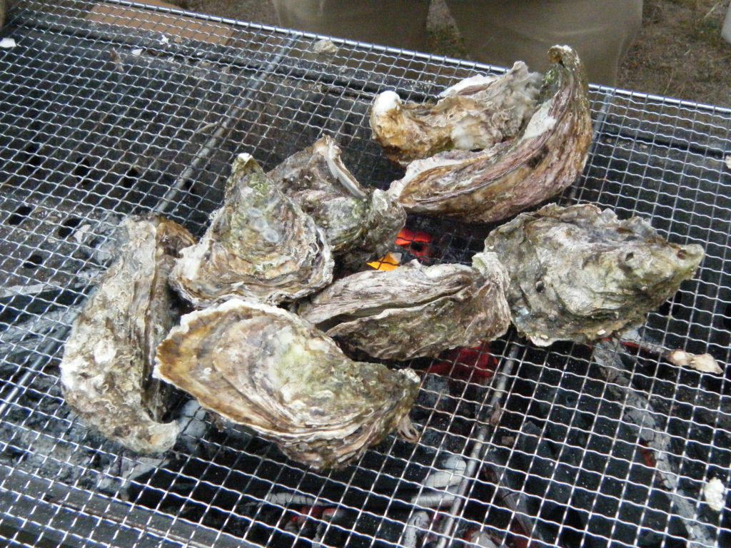 網の上で焼かれている牡蛎