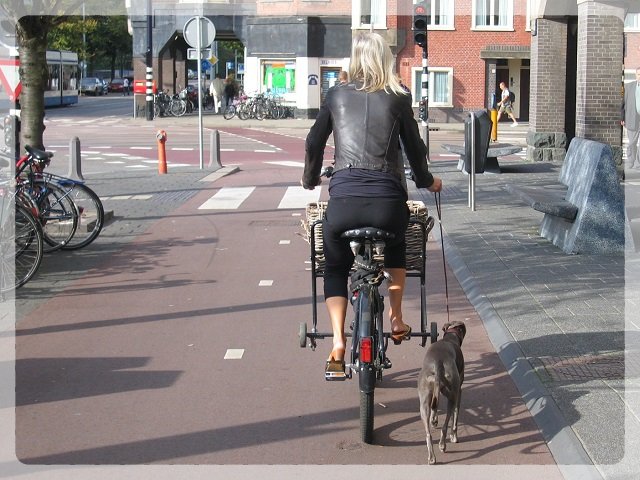 オランダの自転車専用レーンを犬と共に走る女性