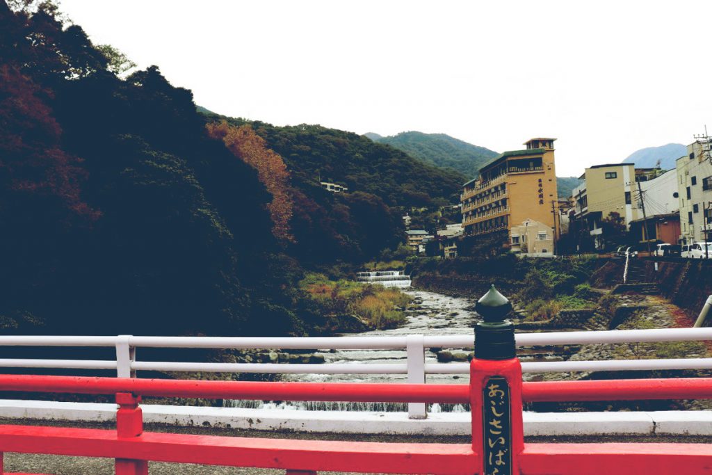 箱根湯本あじさい橋からの風景。川や老舗旅館がある。