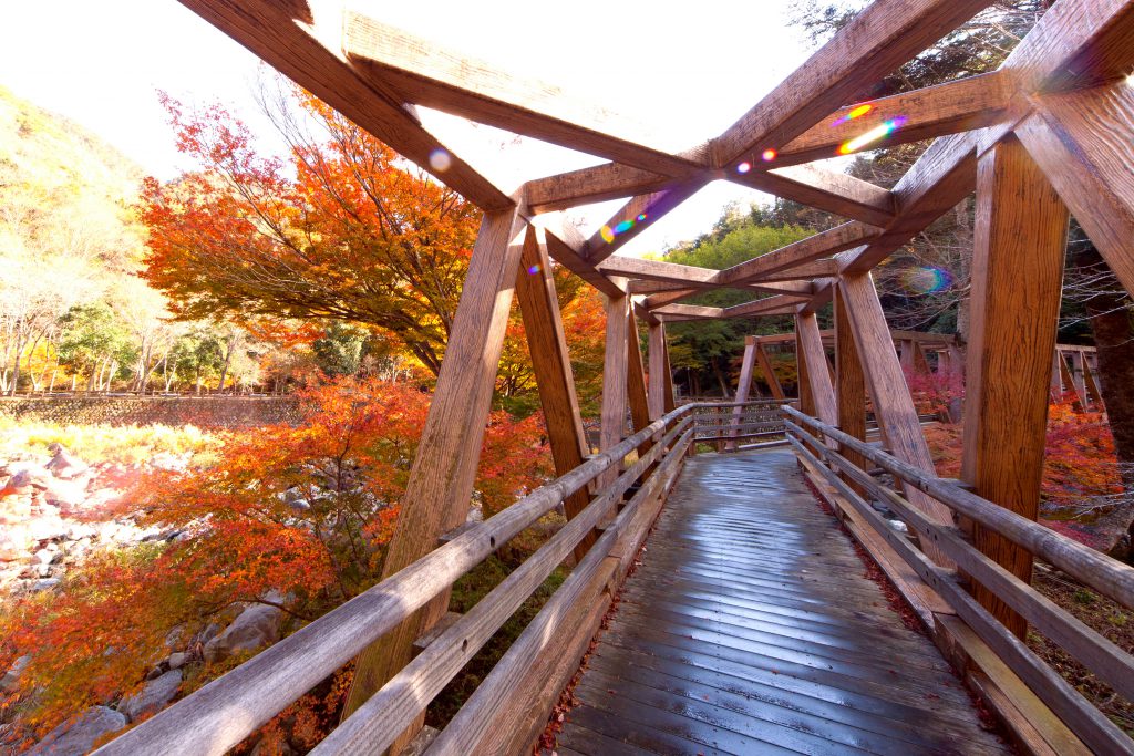 広島県福山市の山野狭県立自然公園の紅葉の美しい様子。