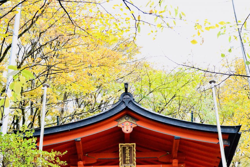 九頭竜神社の本殿の赤い屋根が写っている様子。