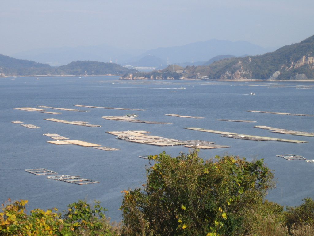 海に浮かぶいくつかの牡蠣筏