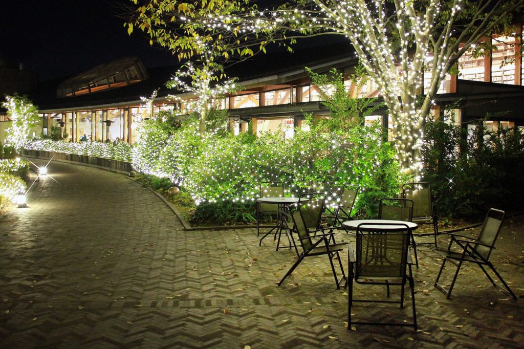 武雄市図書館の外の植物には賑やかにイルミネーションが飾られている。手前には椅子やテーブルも置かれている。