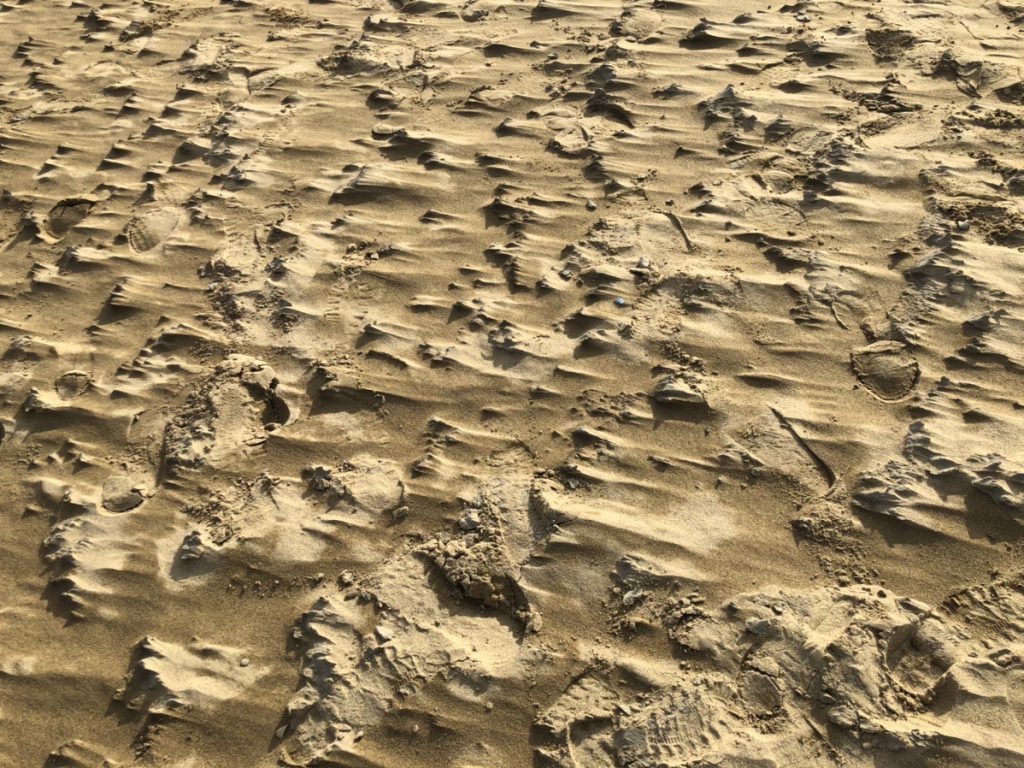 鳥取砂丘風の跡。