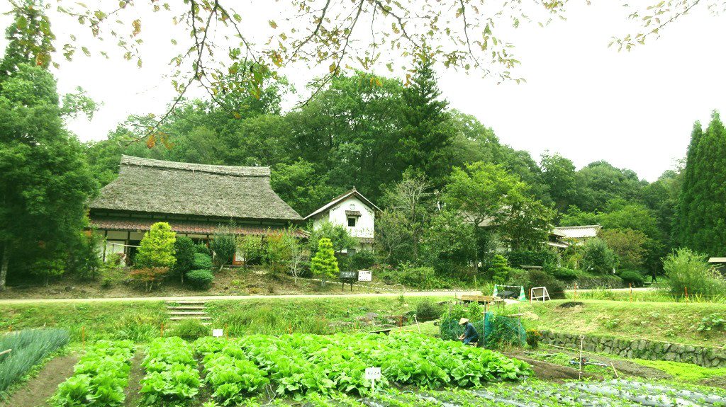 国営備北丘陵公園の辺り一面緑豊かな様子。昔ながらの家屋が建っている。