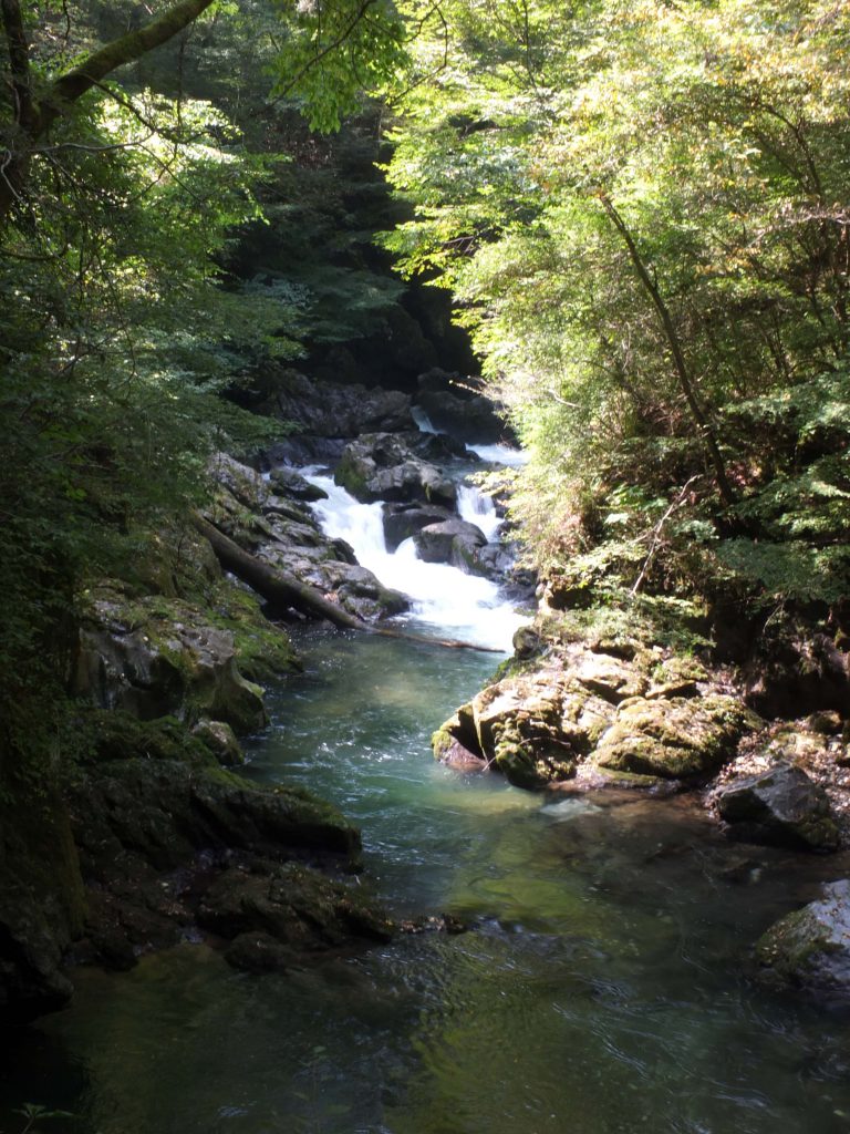 断魚渓の岩がごつごつした様子。