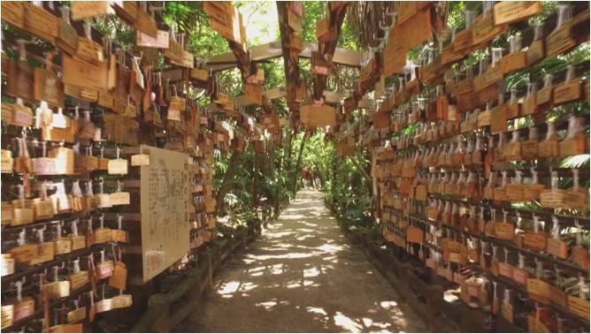 半円状に木製の絵馬が飾られてある青島神社の境内の様子。絵馬のトンネルのよう。