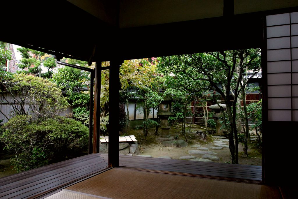 松阪邸の中から見える風情ある庭の様子。