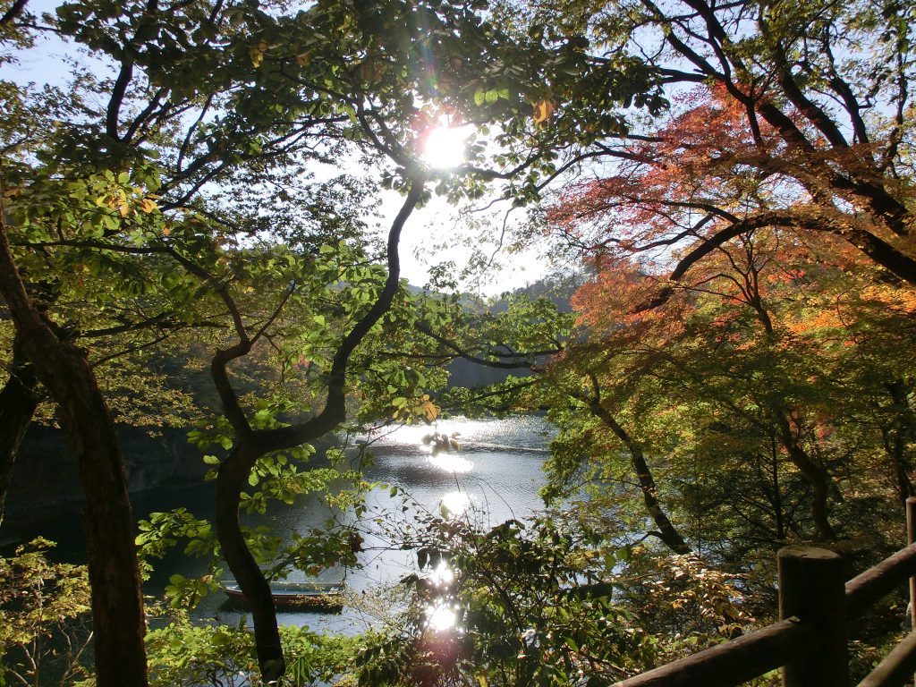 帝釈峡の色づき始めた紅葉の様子。