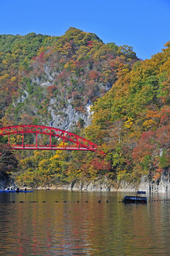 紅葉と真っ赤な色をした神龍橋が美しい様子。