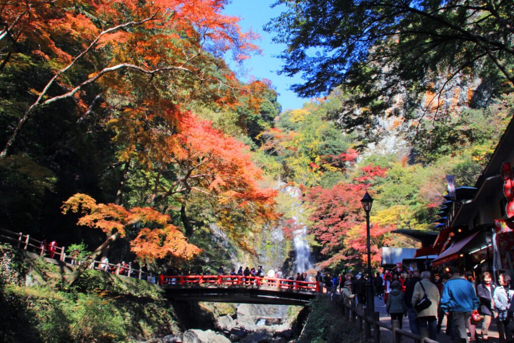 画面中央に赤い橋がかかっていて、その奥に滝が見えます。周りは山で紅葉の木々に囲われている。