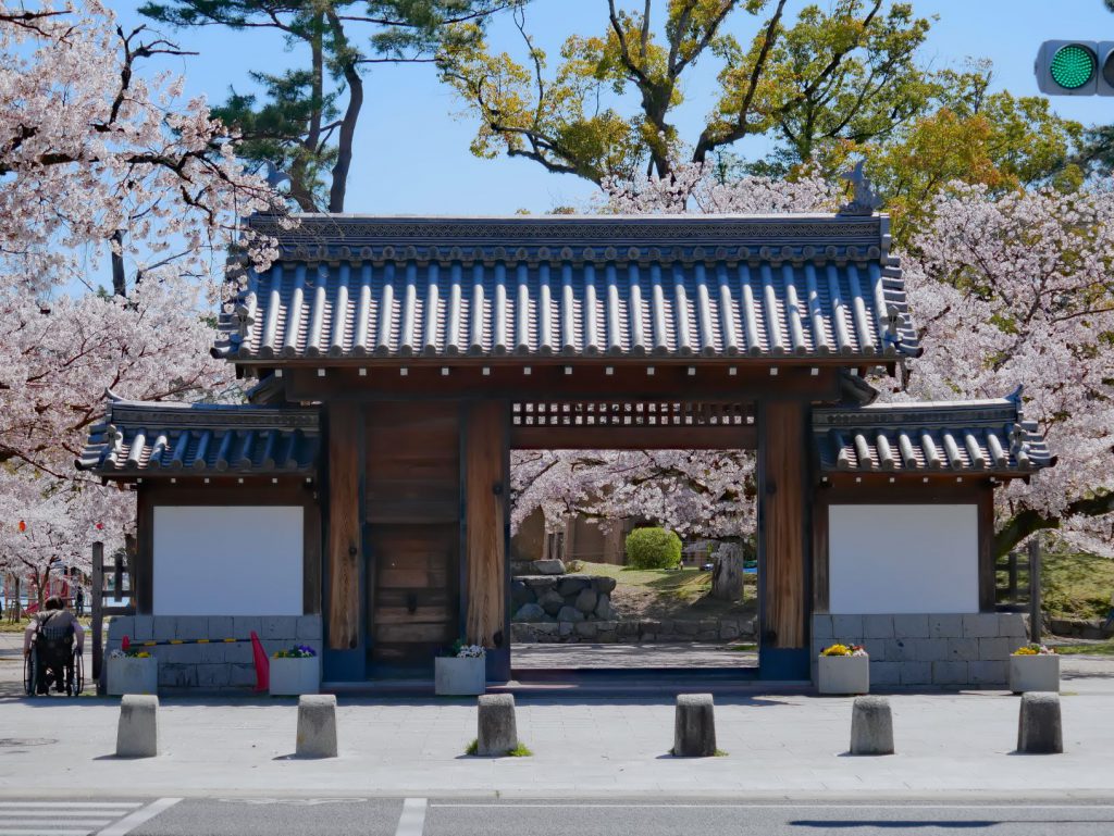 桜の木を背景にした膳所城。