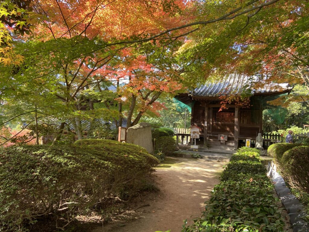 綺麗に色づいた紅葉の木々の奥に小さな社殿があります。