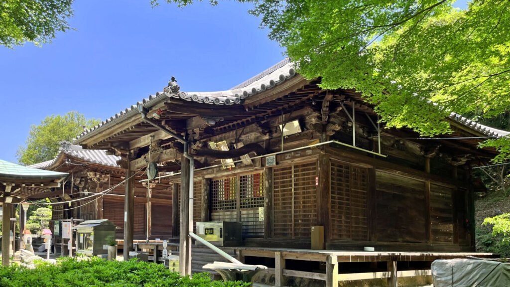 白峯寺の社殿。青々とした新緑が青空に映え、木製の社殿とのコントラストが美しく映っています。