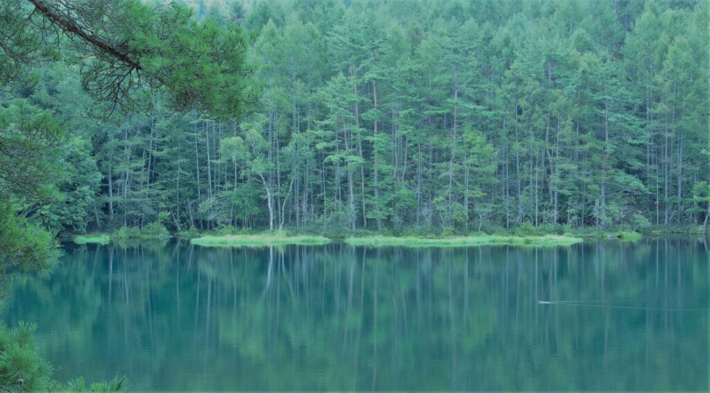東山魁夷が《緑響く》のモチーフにした長野・御射鹿池（みしゃかいけ）。静謐とした雰囲気の池の背景には木々が生い茂っており、うっすらと水面にリフレクションを作り出しています。