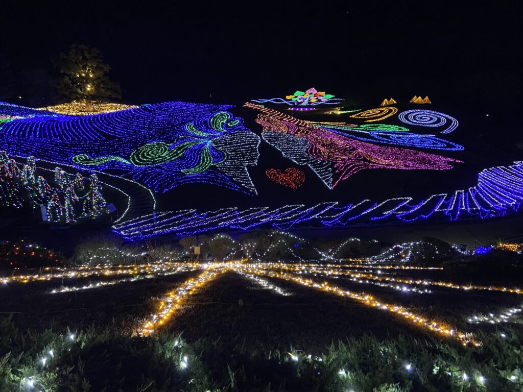 国営讃岐まんのう公園の冬のイルミネーション。芝生広場の一面に様々な模様のイルミネーションが描かれています。