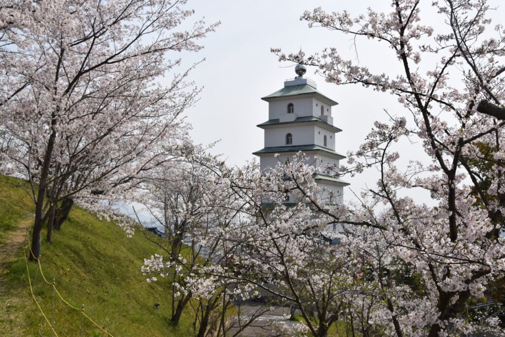 満開の桜の向こうに、白い壁、緑の屋根の５重の塔が見えます。