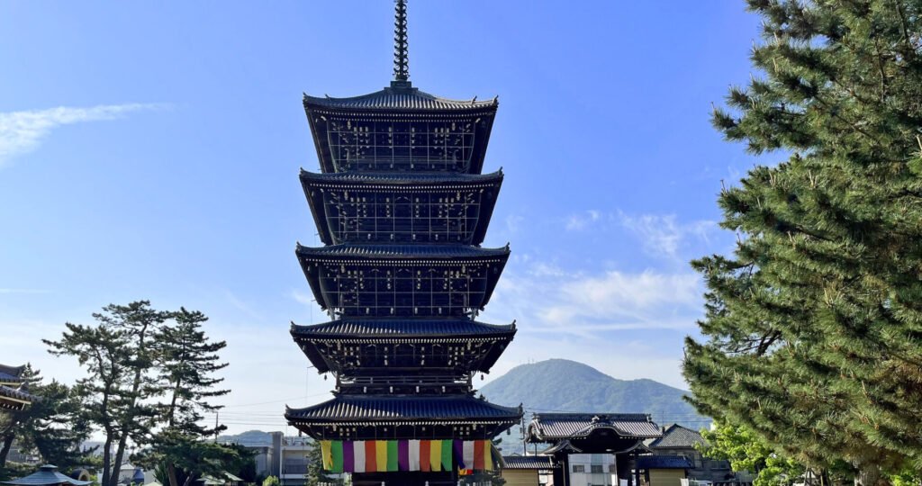 青空を背景に中央に善通寺の五重塔が映っており、右手手前に松の木、唐の奥には小高い山が映っています。