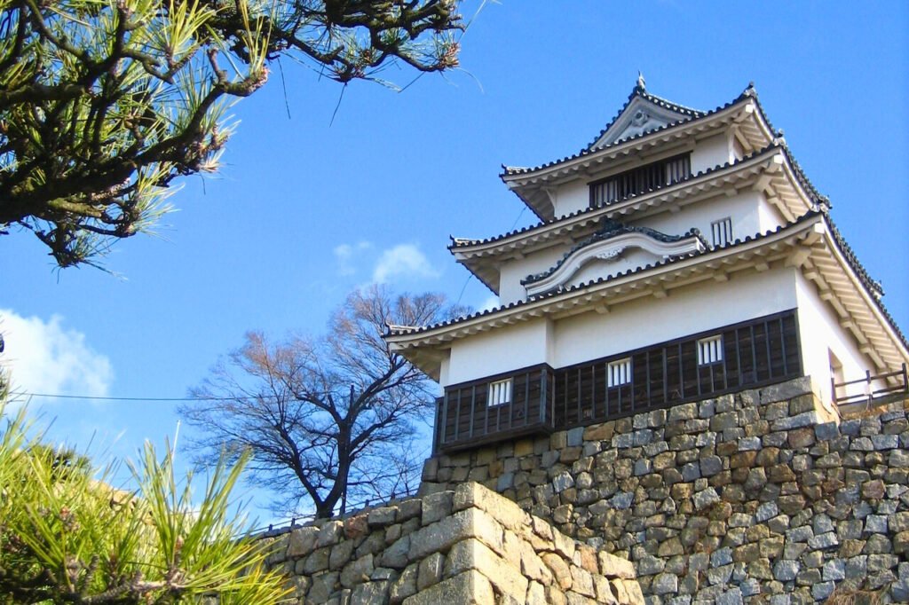 石垣の上に建つ丸亀城の天守閣です。屋根には瓦が敷かれ、白壁には細かい装飾が施されています。写真の手前には松の枝が映り込み、日本の自然と建築が美しく融合しています。背景には晴れた青空が広がっています。