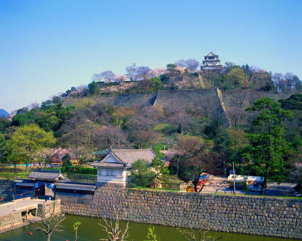 壮大な石垣の上に築かれた丸亀城の全景。城は丘の上に位置し、堀に囲まれています。様々な緑色の木々が植えられ、周囲は公園となっています。
