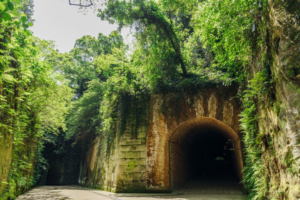 緑に覆われたレンガ造りのトンネル。壁はツタやシダで覆われており、トンネルの中は暗闇です。周囲は植物が生い茂っています。