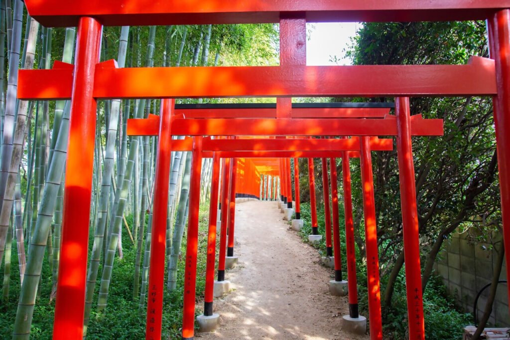 赤い鳥居の回廊が両側に広がる緑豊かな竹林を通り抜けています。自然との調和が感じられる落ち着いた雰囲気です。