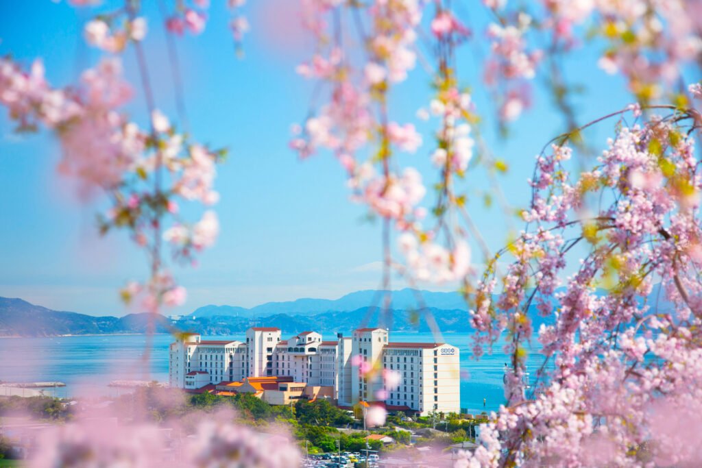 桜越しに見るアオアヲ ナルト リゾートの春の風景