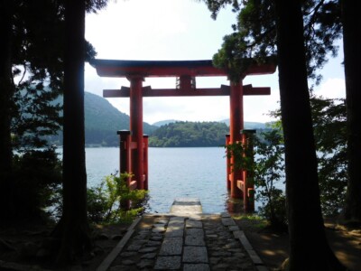 木々に囲まれた道の先に、湖に立つ箱根神社の赤い鳥居が見えます。鳥居の向こうには静かな湖と緑豊かな山々が広がっています。鳥居の足元には石畳の道が続いています。