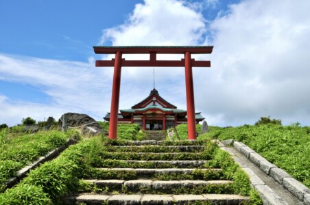 赤い鳥居とその奥に箱根元宮の社殿が見えます。鳥居に続く石段には緑の草が生い茂り、社殿は青空の下に建っています。社殿の屋根は伝統的な日本の建築様式で、美しい自然に囲まれています。