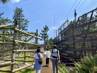 初島のアスレチックの風景。木製の遊具が並び、ロープやネットで構成されたチャレンジコースが見える。三人の人物がコースに向かって歩いており、それぞれカジュアルな服装でリラックスしている様子。周囲には松の木や緑が広がり、自然の中で楽しむアクティビティが魅力的な場所であることが伺える。