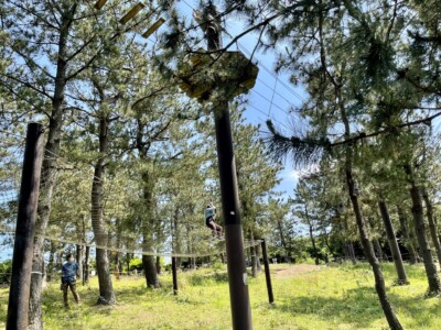 木々の間に設置されたロープコースを楽しむ人々。手前には安全装備を身につけた人が見守り、もう一人は高所のロープの上を渡っている。背の高い松の木々が広がり、背景には晴れた青空が広がっている。地面には緑の草が生えており、自然の中でのアドベンチャーアクティビティの様子が伺える。