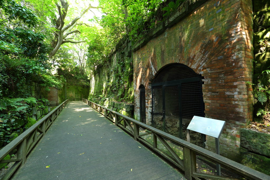 "CARAVAN STORIES" Collaborates with Yokosuka Sarushima! Enjoy the Game