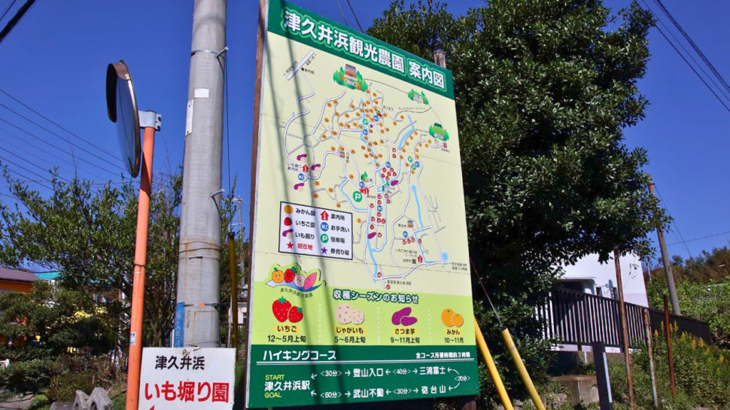 Strawberry Picking Tsukuihama Tourist Farm in Yokosuka